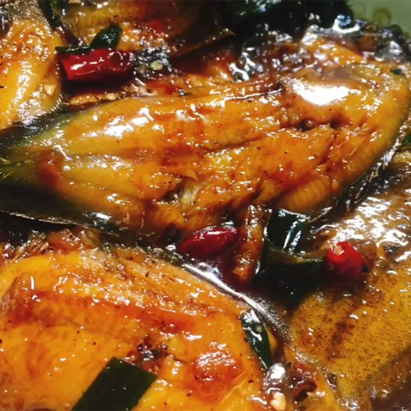 Cá bơn giá sỉ
