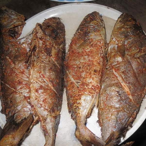 Cá bè cu giá sỉ 