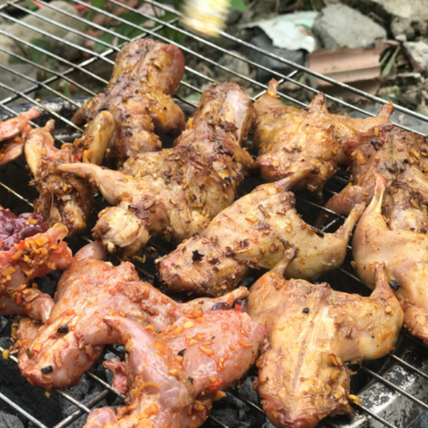 Chuột giá sỉ