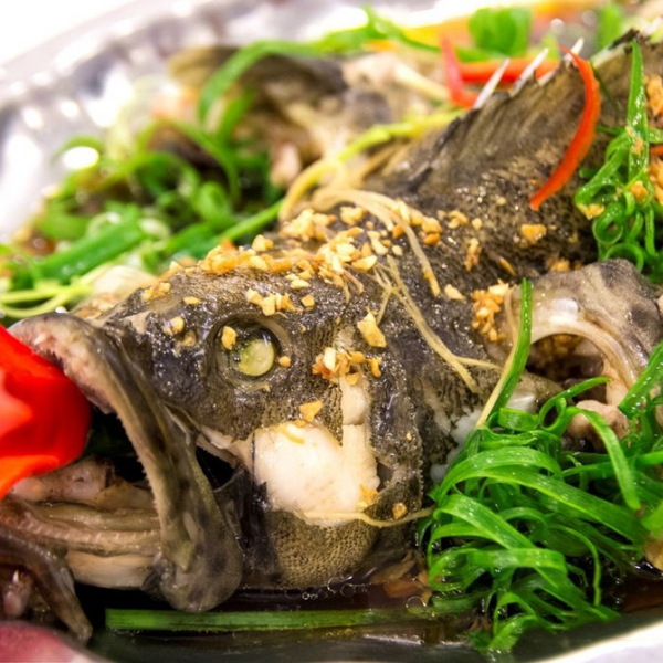 Cá mú hấp giá sỉ
