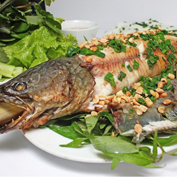 Cá cửng giá sỉ