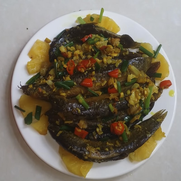 Cá chạch giá sỉ 