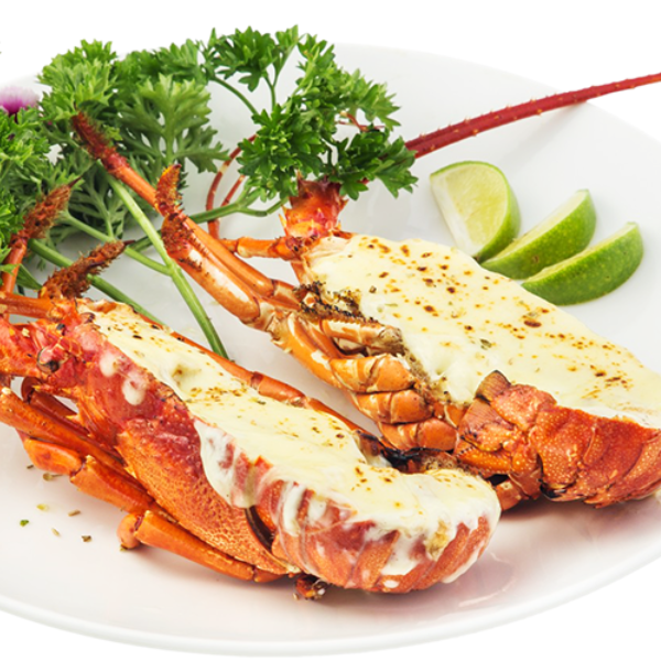 Tôm hùm chất lượng